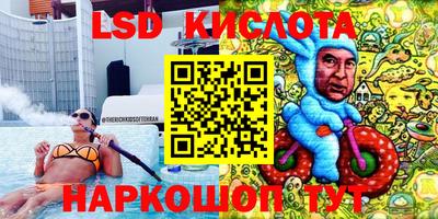 дмт Кандалакша