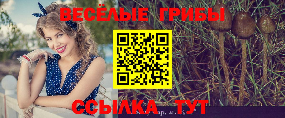 Псилоцибиновые грибы мицелий  Псилоцибиновые грибы мухоморы  Балашов  Вход с VPN 