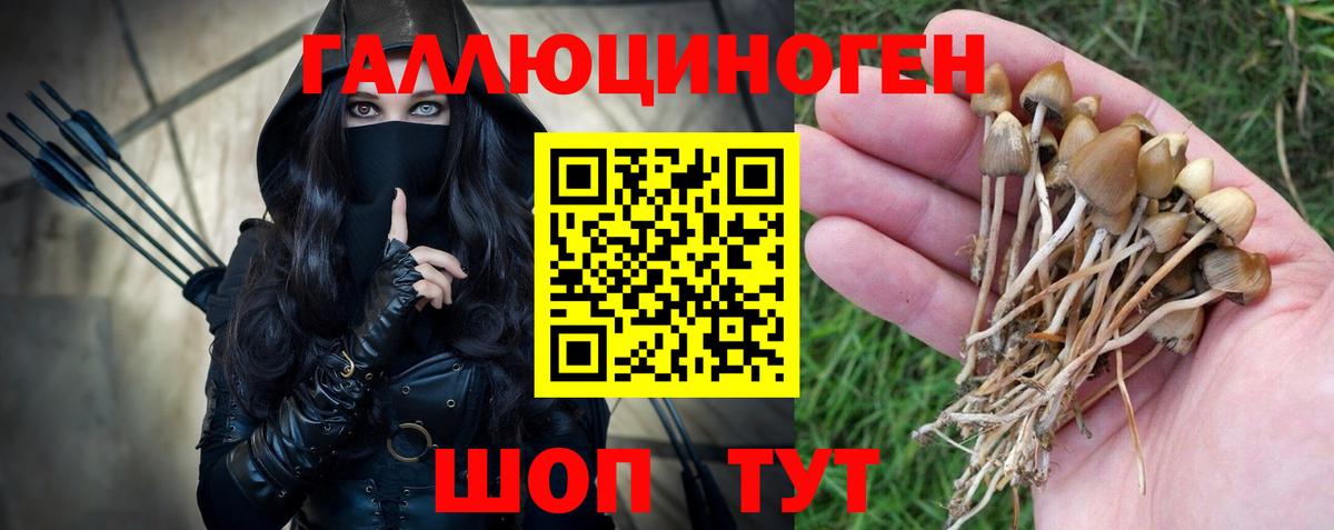 Псилоцибиновые грибы мицелий Балашов